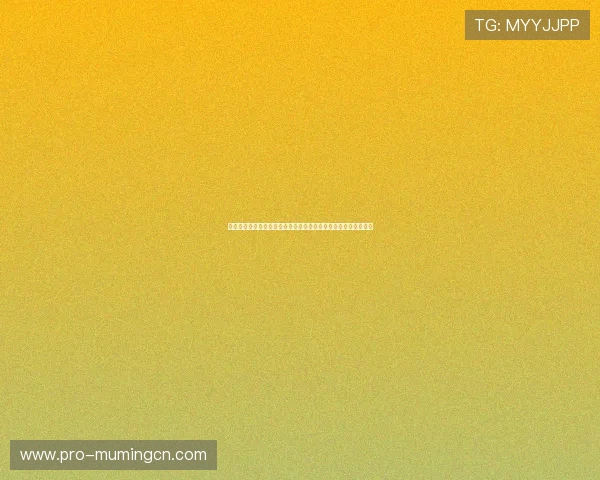 新利网络娱乐提供的世界杯专题报道内容丰富程度及用户体验分析